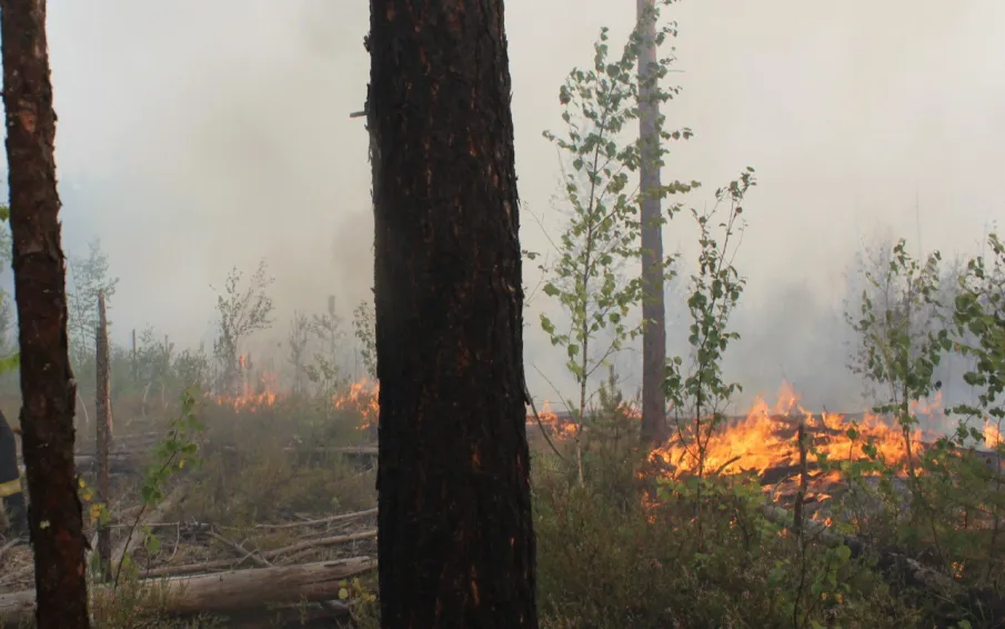 В лесах Нижегородской области сохраняется высокий класс пожарной опасности в период аномально жаркой погоды - Минлесхоз